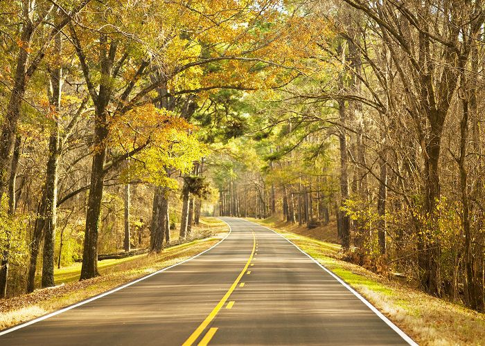 秋天在密西西比州的纳齐兹