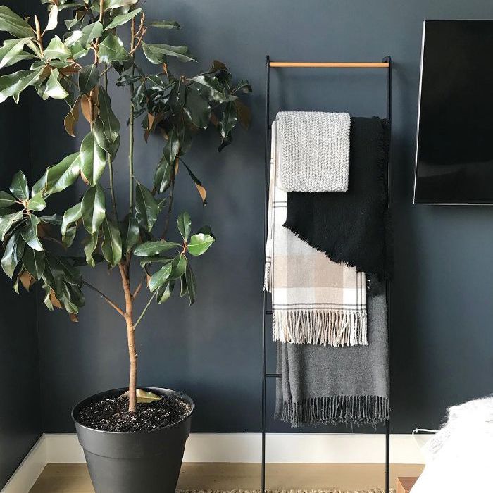 小卧室装修攻略