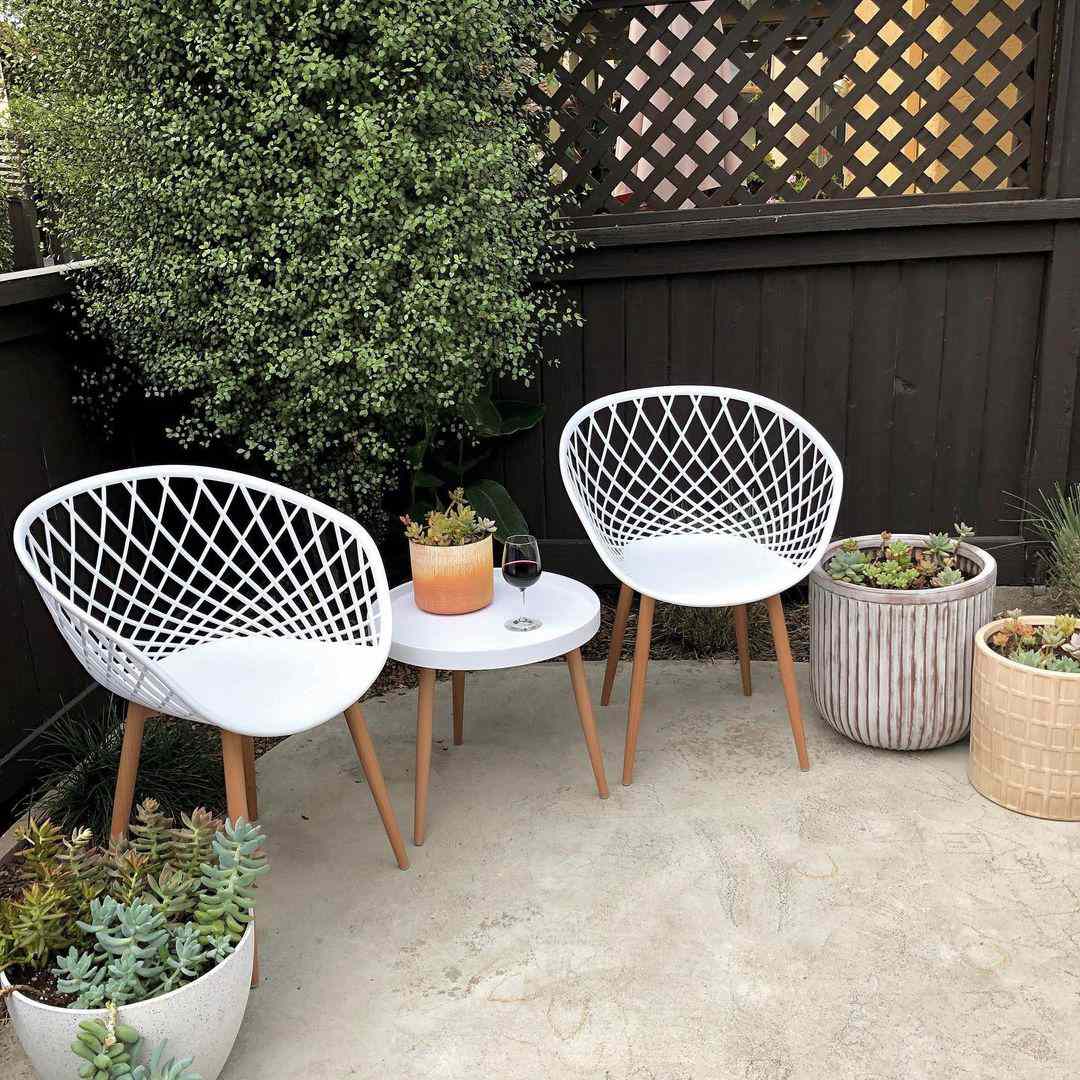 户外庭院多肉植物