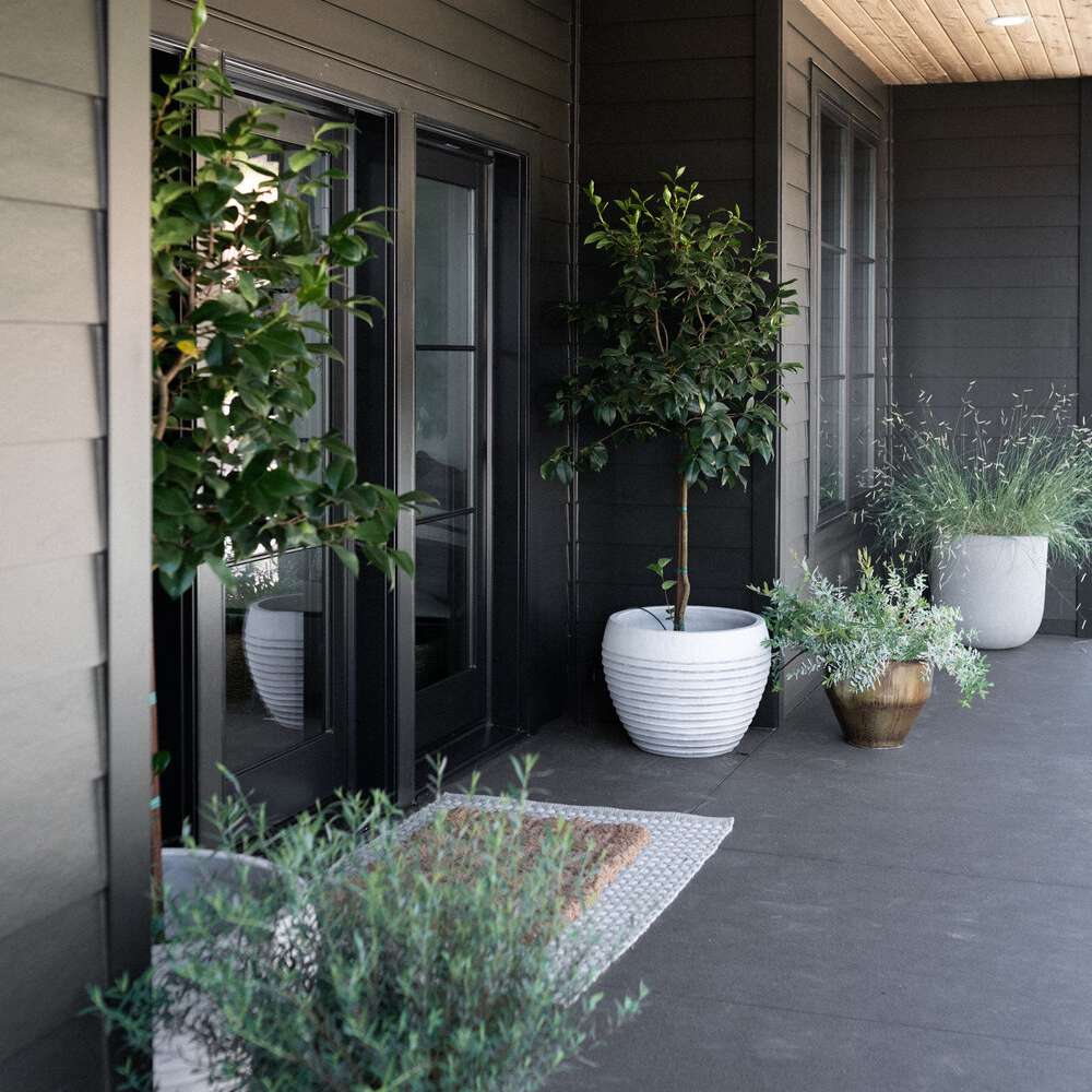 家的前门廊与大盆栽植物。