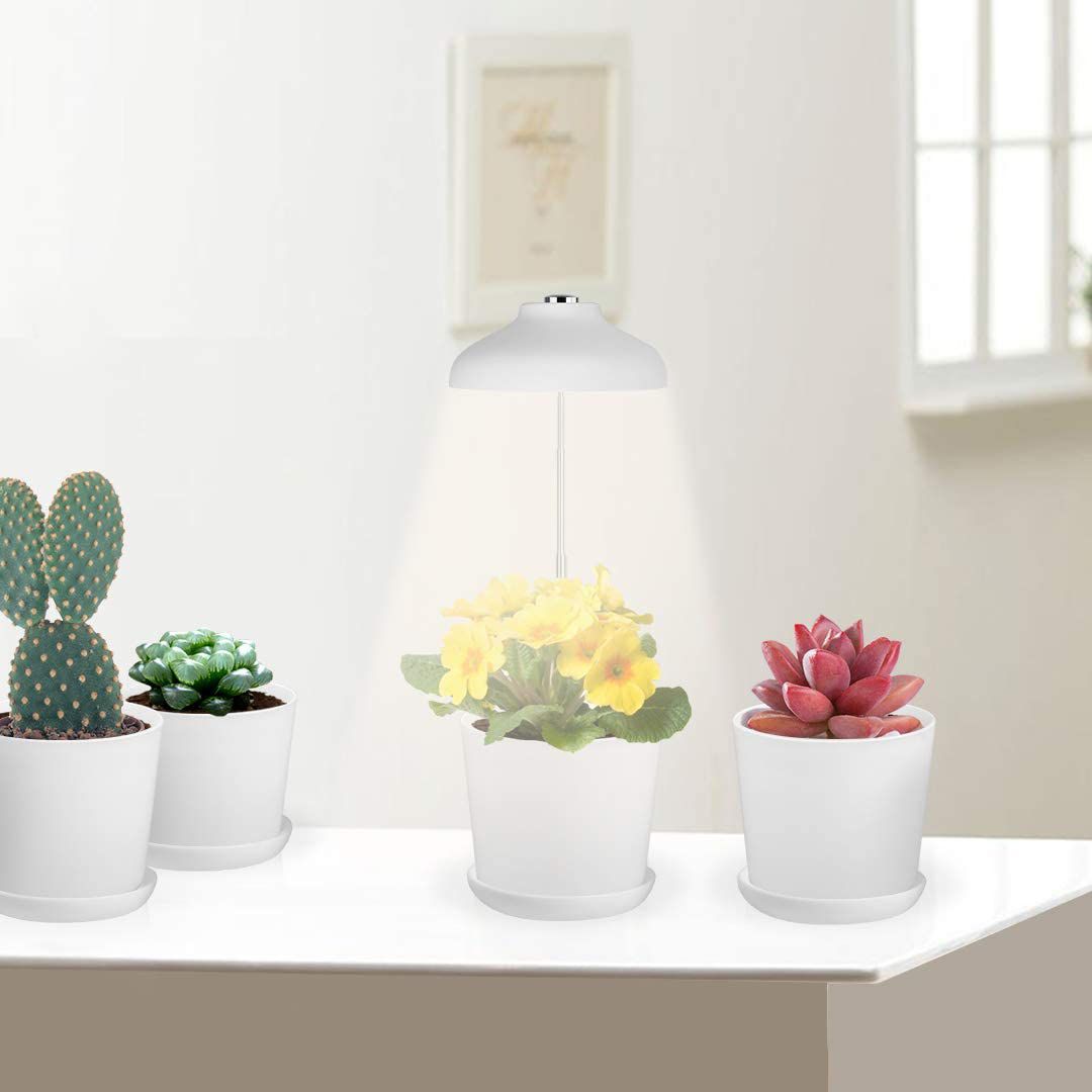 咆哮的播种机套