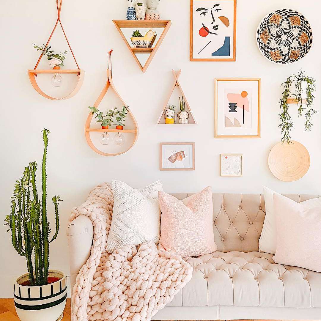 客厅里的非洲乳植物