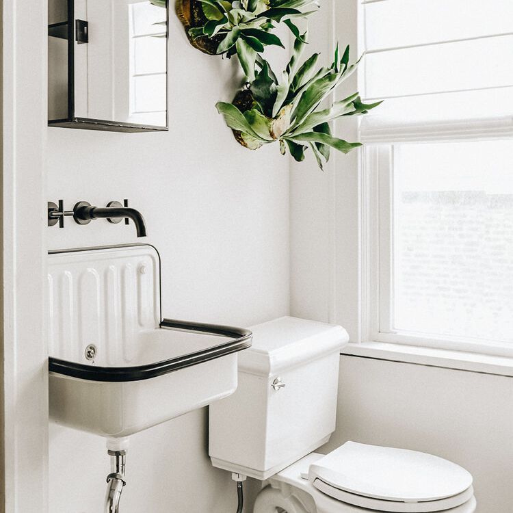 一个有墙上的植物的全白色浴室