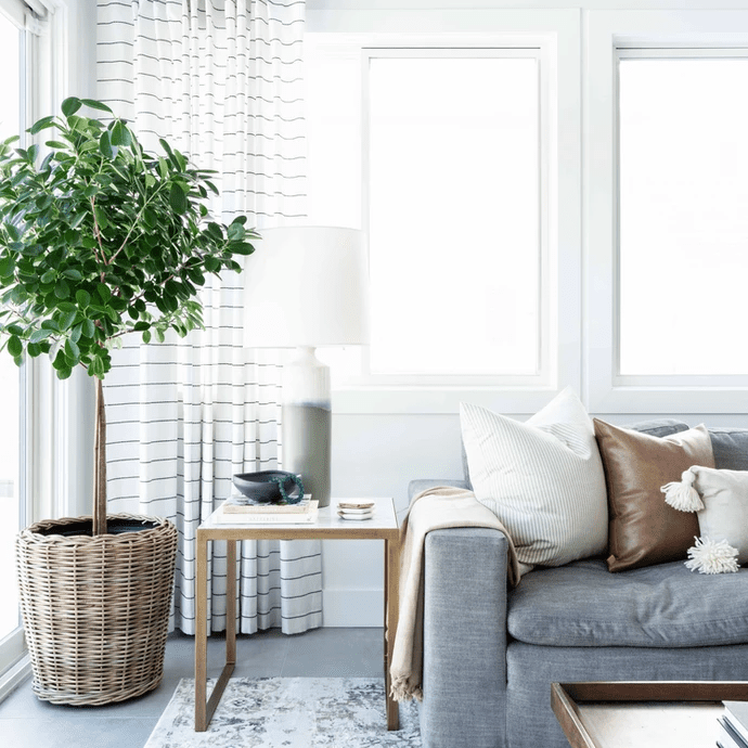 带条纹窗帘的生活空间