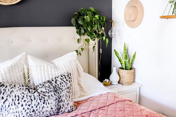 卧室与菲律伦植物。