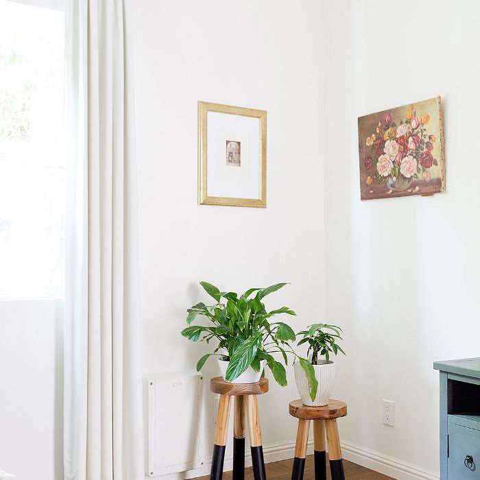 卧室角落的凳子上的植物