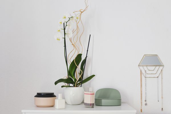 在梳妆台的兰花植物与boho口音