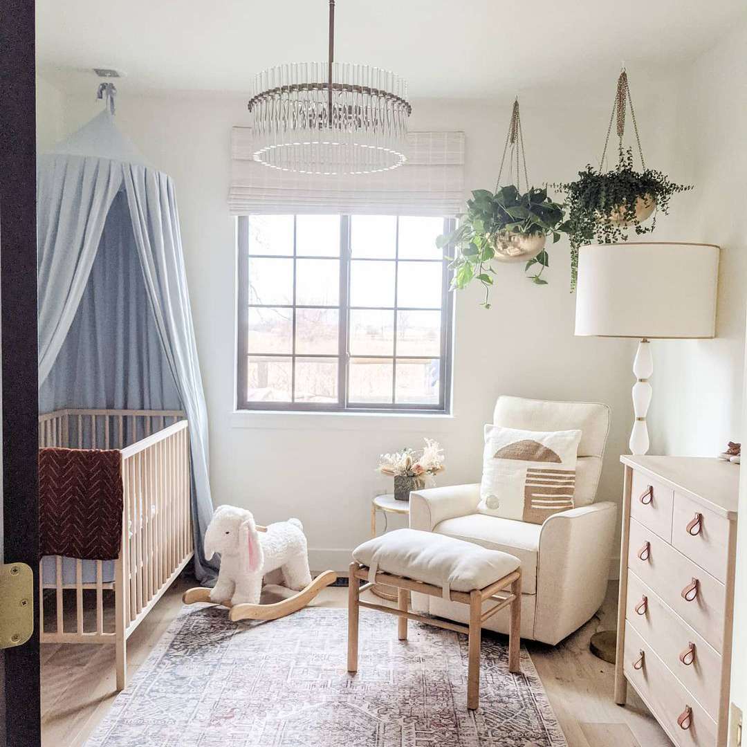 苗木与浅蓝色口音