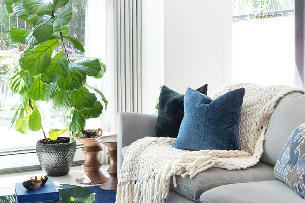 蓝色客厅的想法