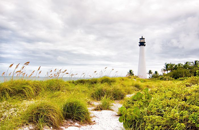 灯塔比斯坎国家公园