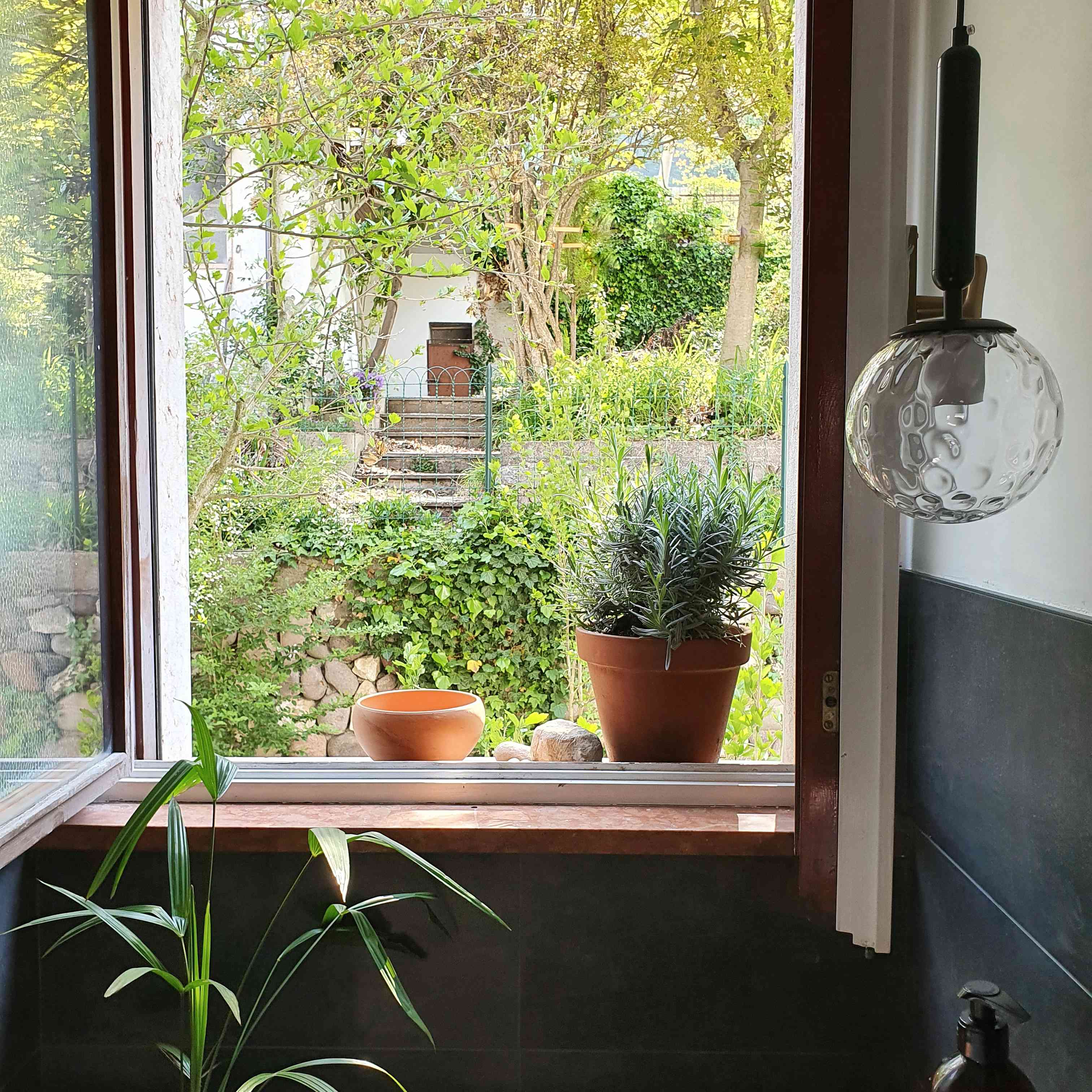 一个房间susanne pumpluen永远不会忘记-意大利窗台植物和orb照明