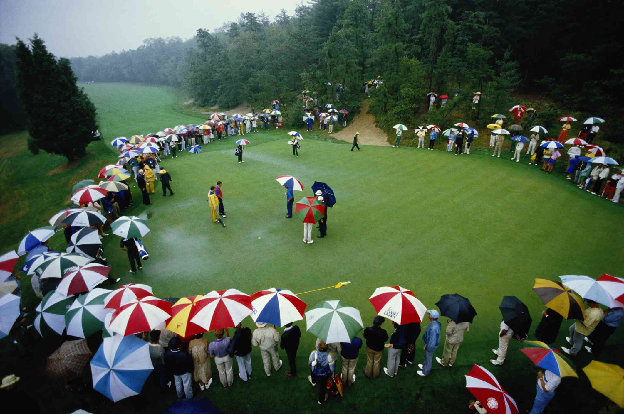 高尔夫球场的观众