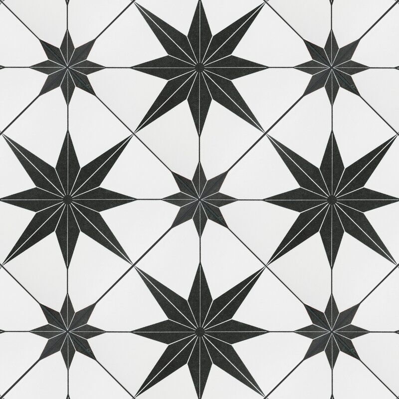 这是一套醒目的星形黑白瓷砖，目前正在AllModern出售