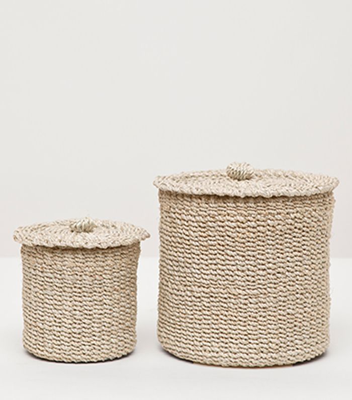 鸽子和贵宾犬切尔斯顿筒“class=