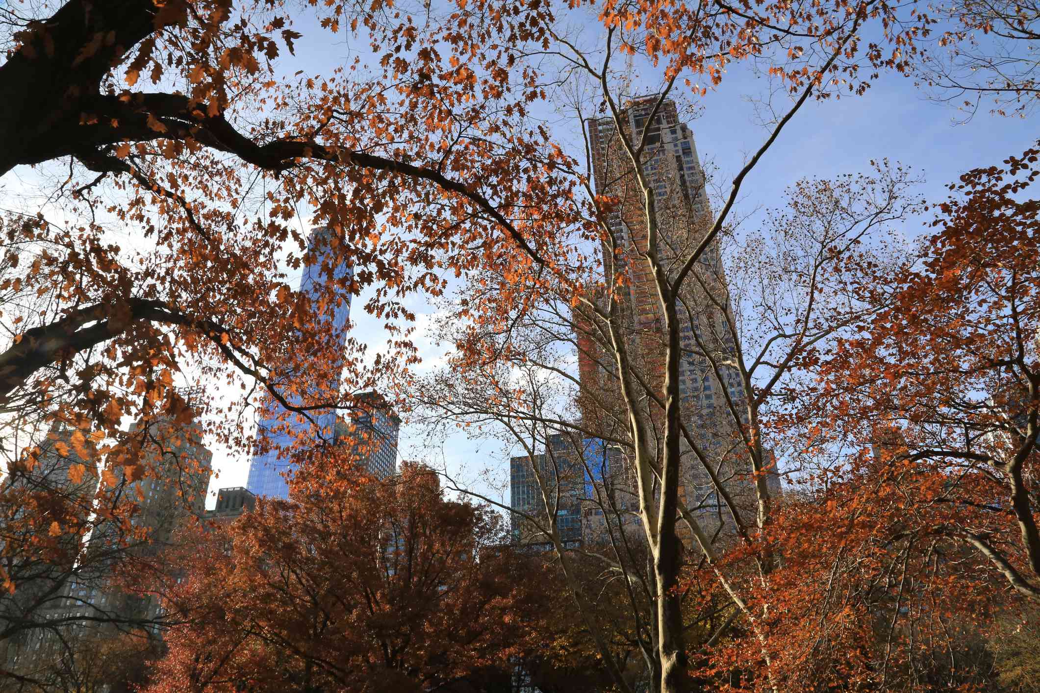 秋天在中央公园，纽约