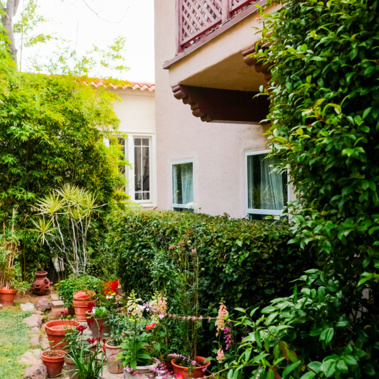 Dazey Den Walkway想法