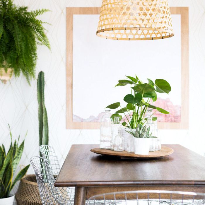 一个小饭厅，绿化和分层地毯