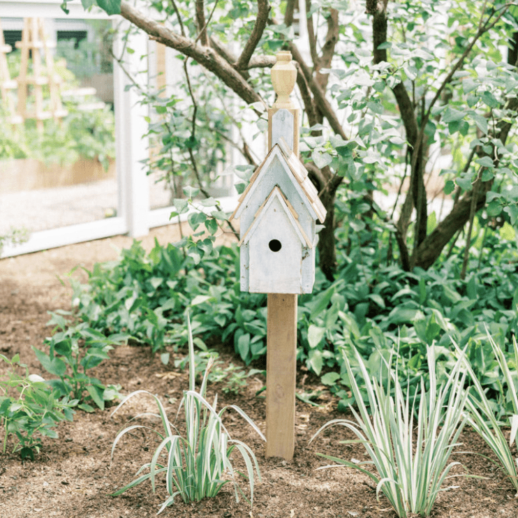 小补丁的鸟舍。