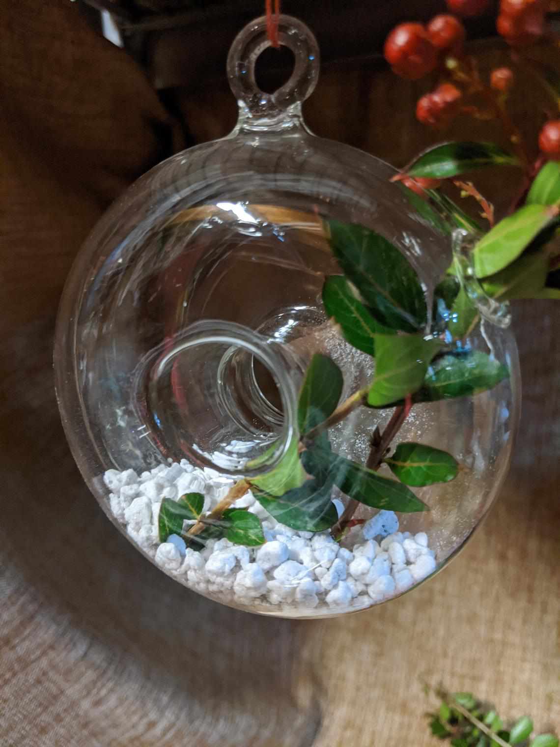 甜甜圈形状的玻璃悬挂花瓶