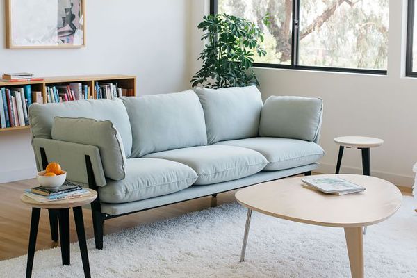 弗洛伊德和西榆树