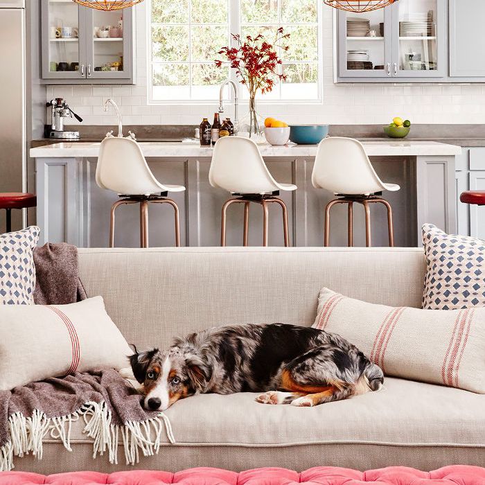 如何选择一个沙发抱枕