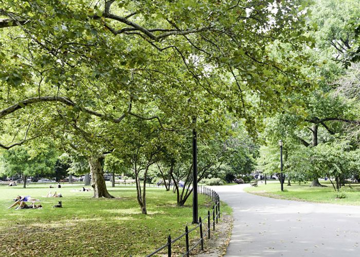 麦卡伦公园“class=