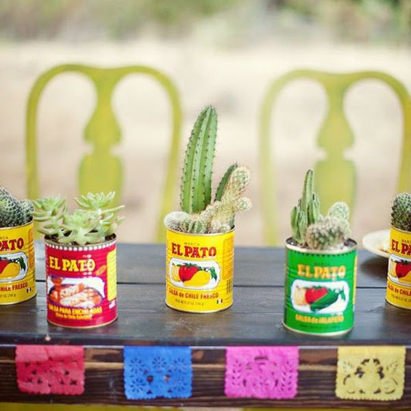 五月五日节装饰:仙人掌