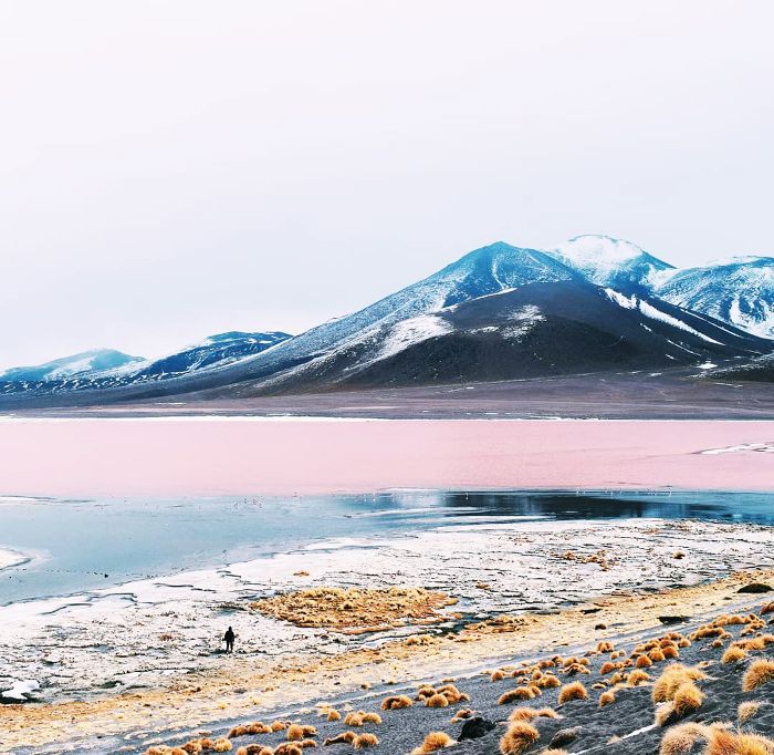 粉红色的盐湖