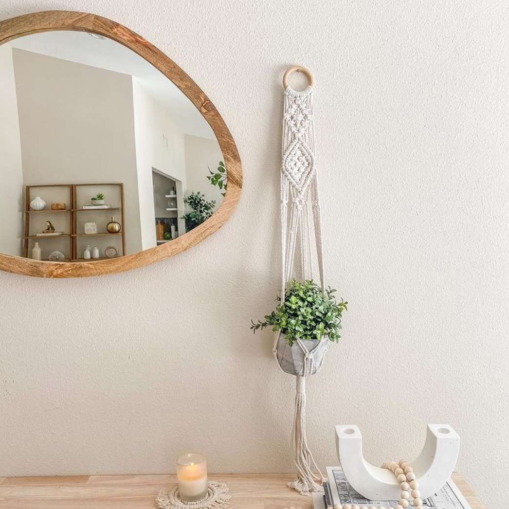 悬挂草本花园jc设计