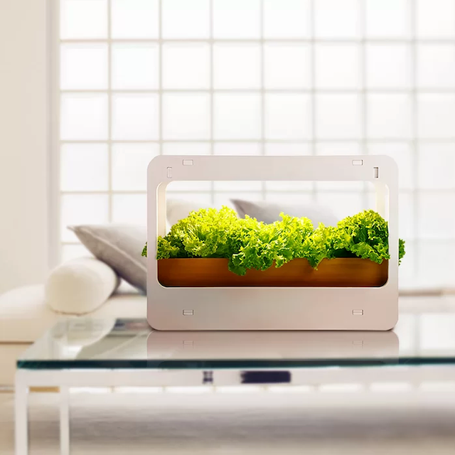 室内种植工具包