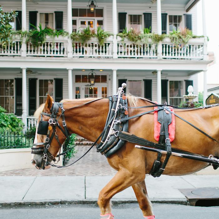 一辆马车在南卡罗莱纳州查尔斯顿的大街上行驶。