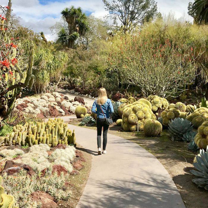 亨廷顿图书馆，艺术收藏和植物园