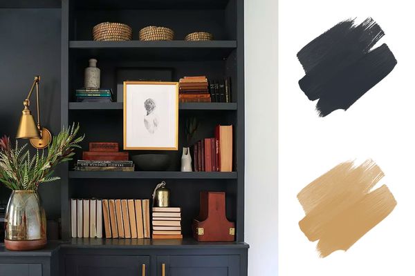 最佳土色调调色板-灰色魔杖木色调书架