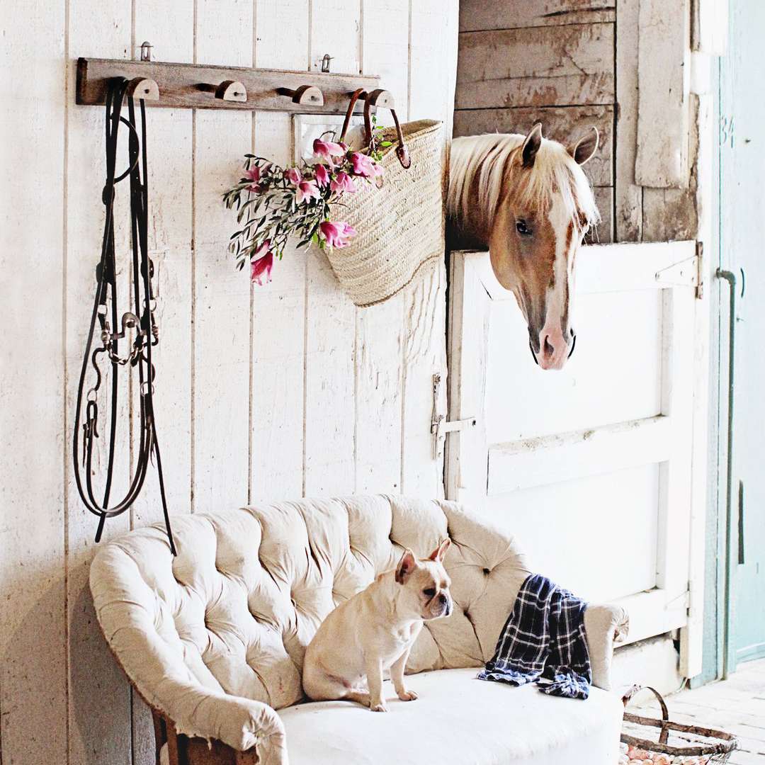 一张白色的古董沙发，里面的装饰已经被拆开，暴露在外面