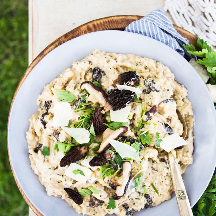 秋天野生蘑菇烩饭的素食食谱