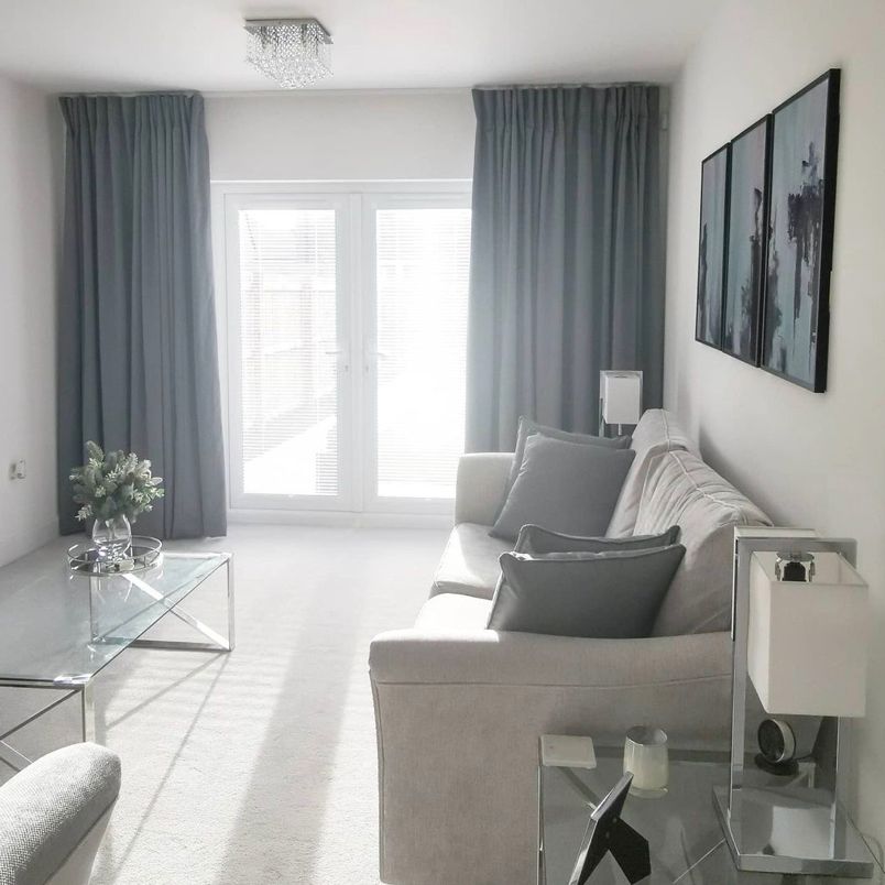 客厅地毯上灰色的想法