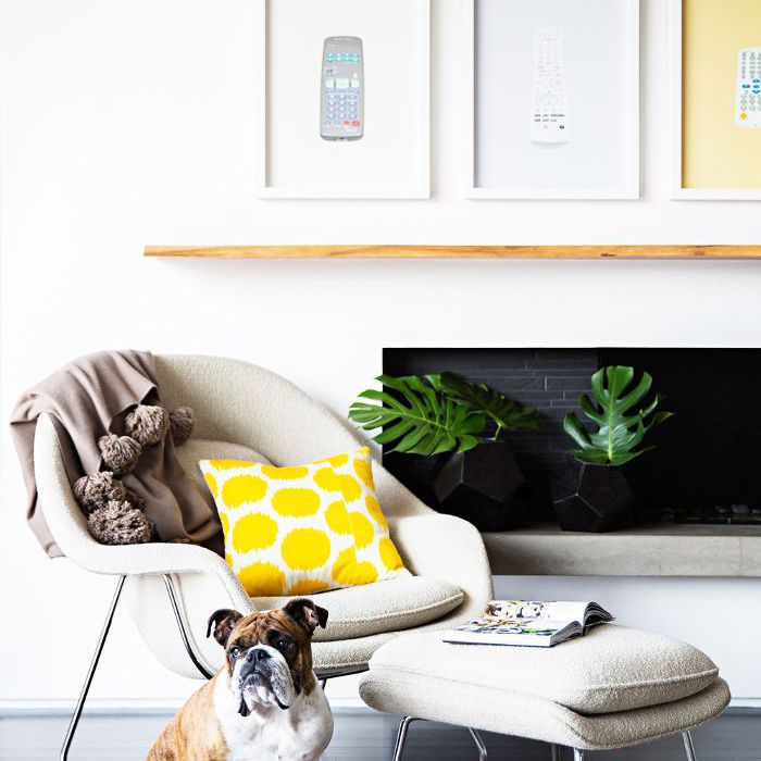 在框架艺术品的壁的前面的阅读角落