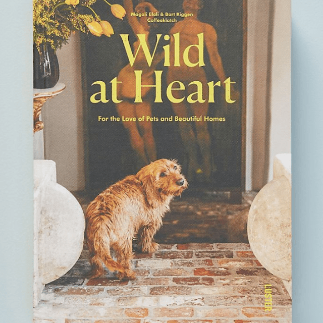 内心狂野:宠物，人，和他们美丽的家