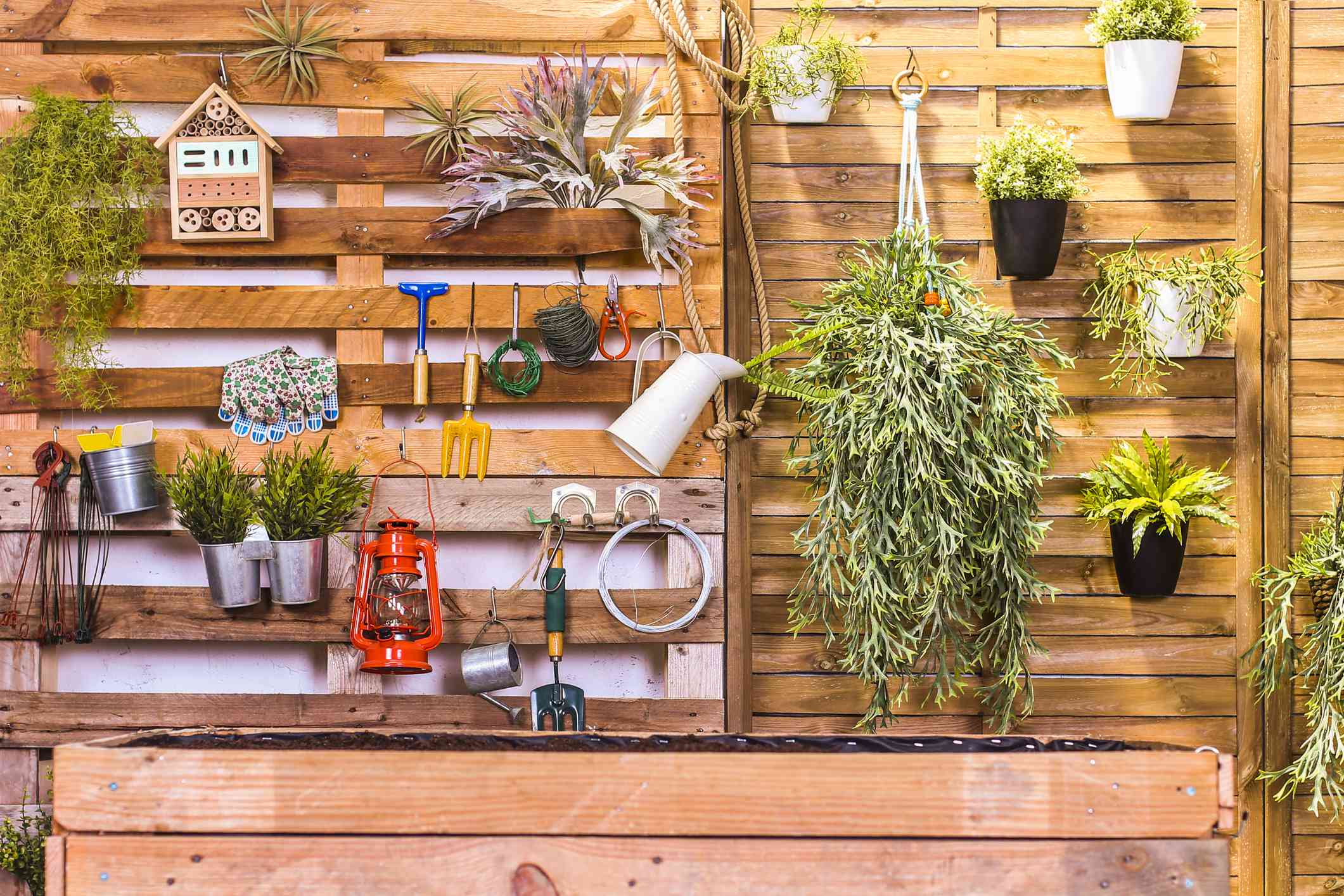 由托盘建造的花园。