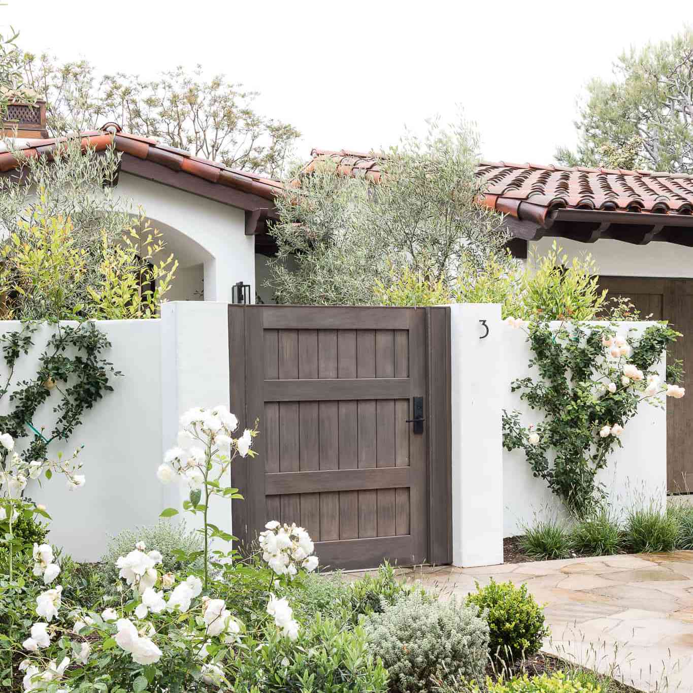 与绿叶的户外花床。