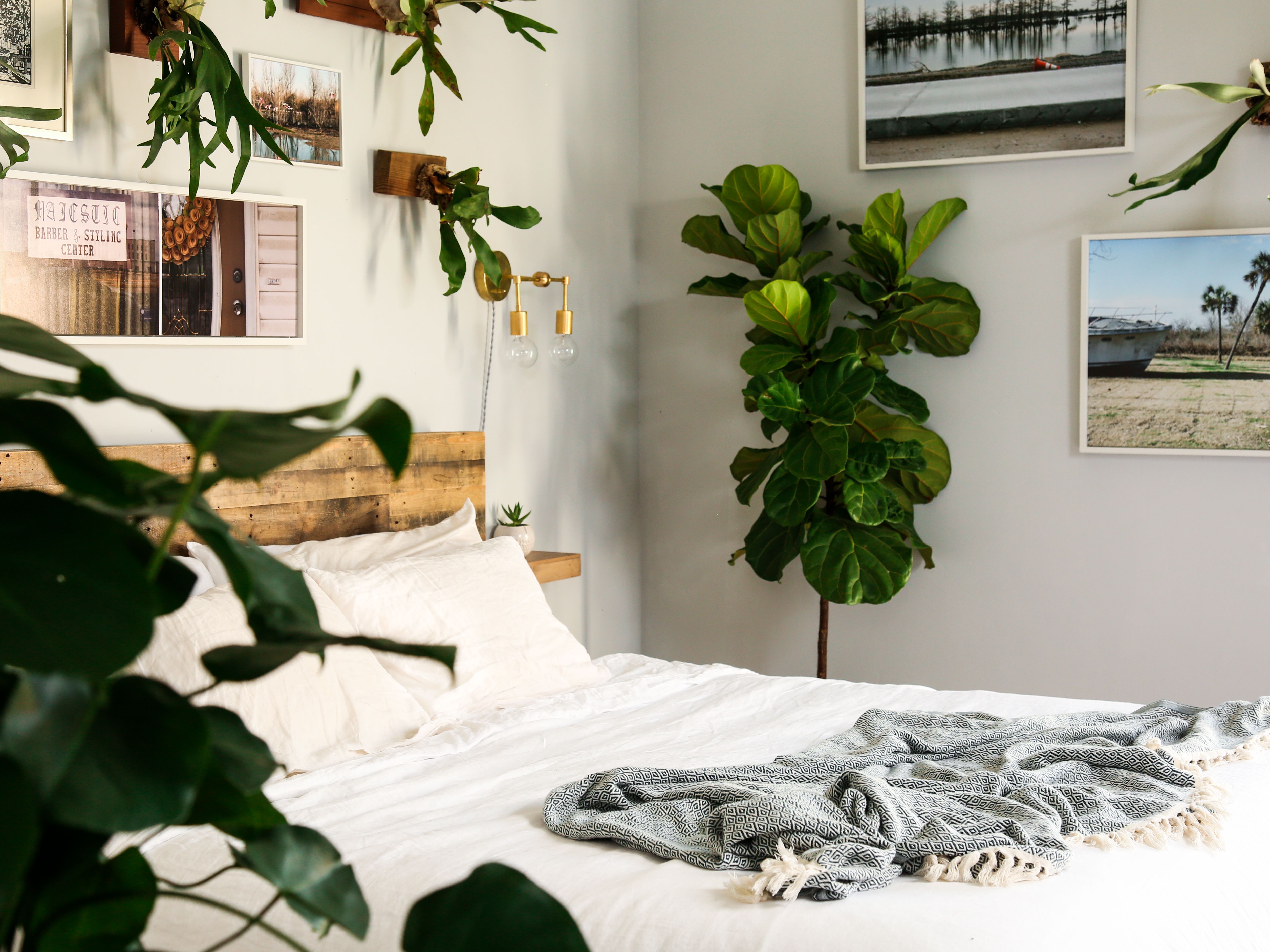 带植物的中性卧室