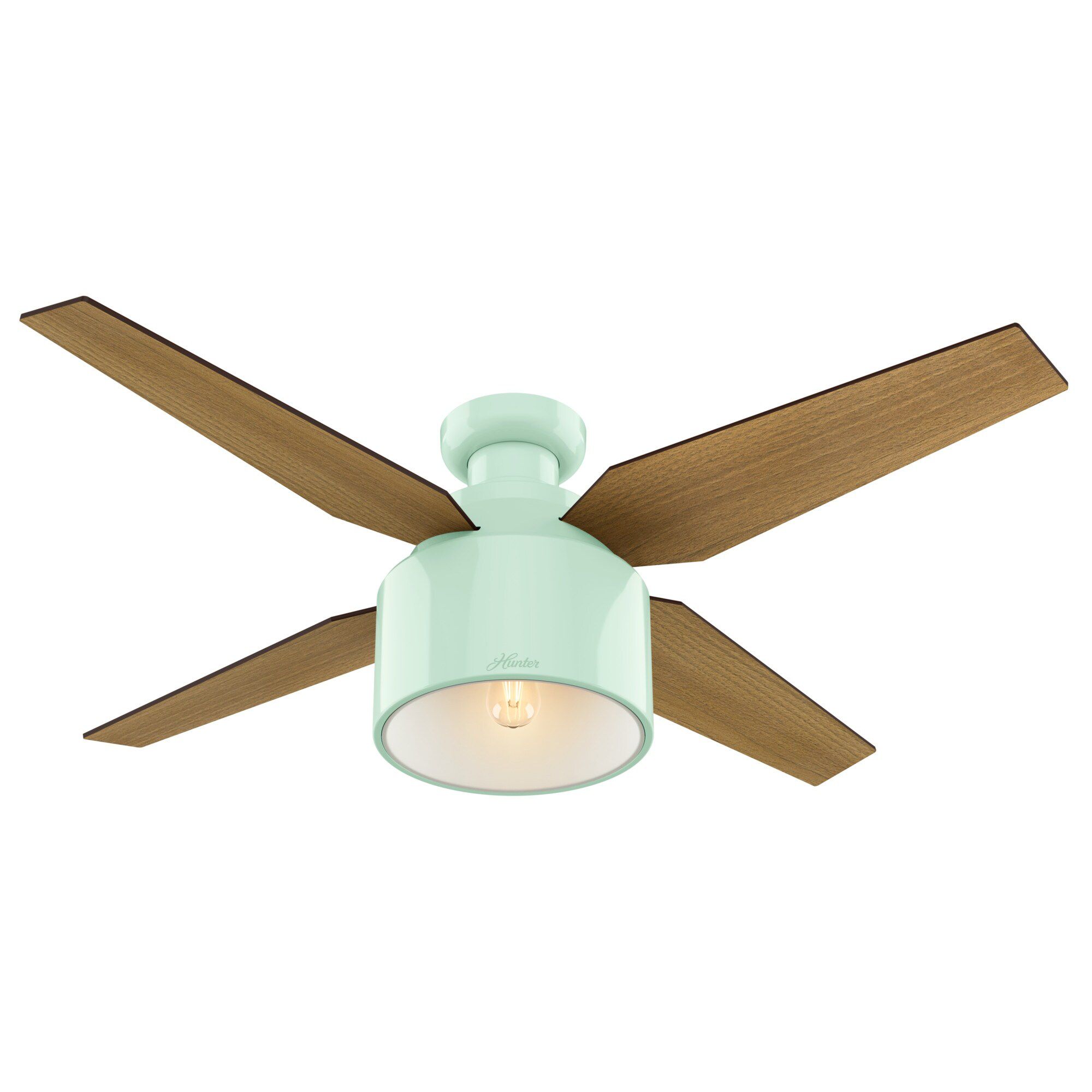 Hunter Fans Cranbrook Low Profile Ceiling Fan