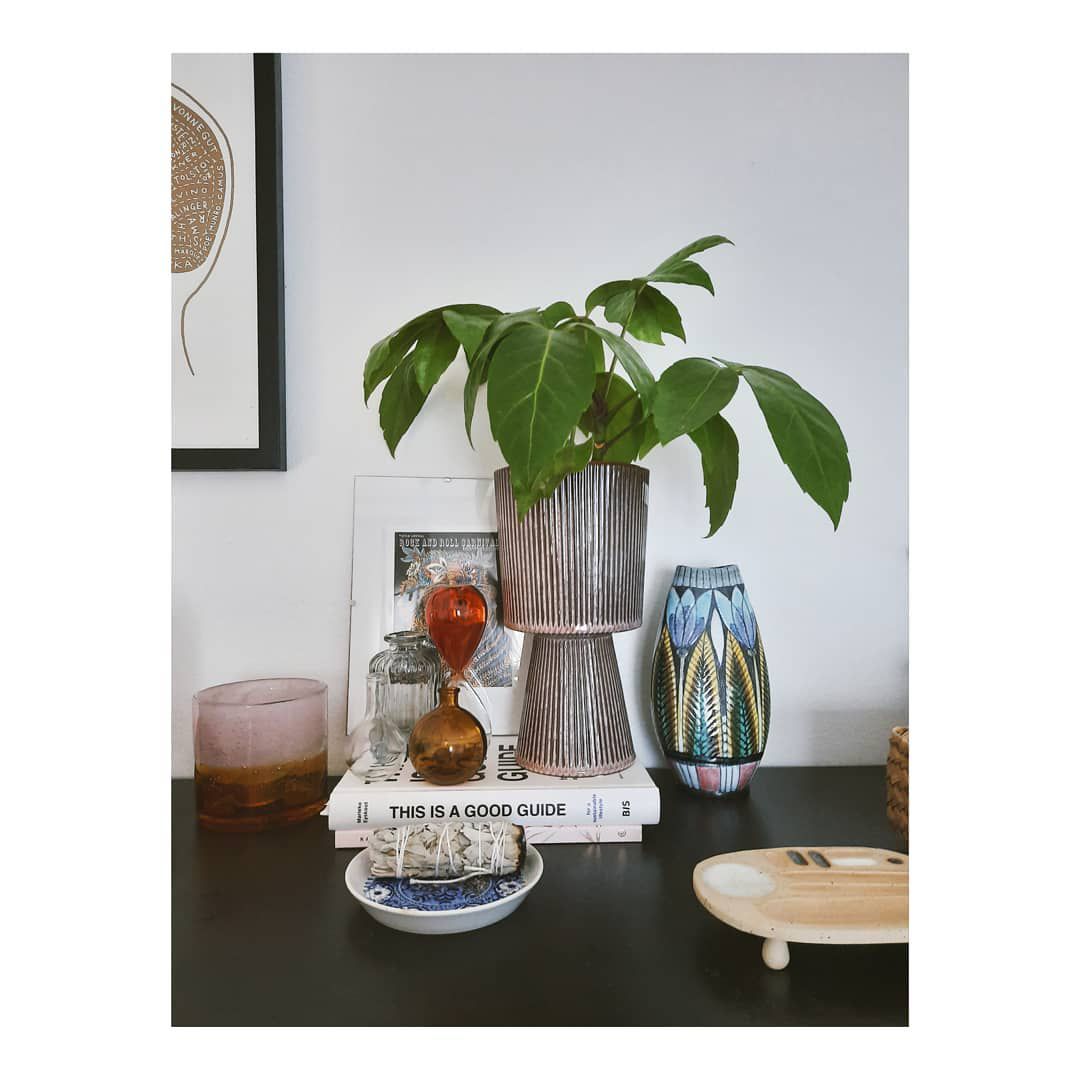 small coffee plant in striped container with books, smudge stick, vases, and photos