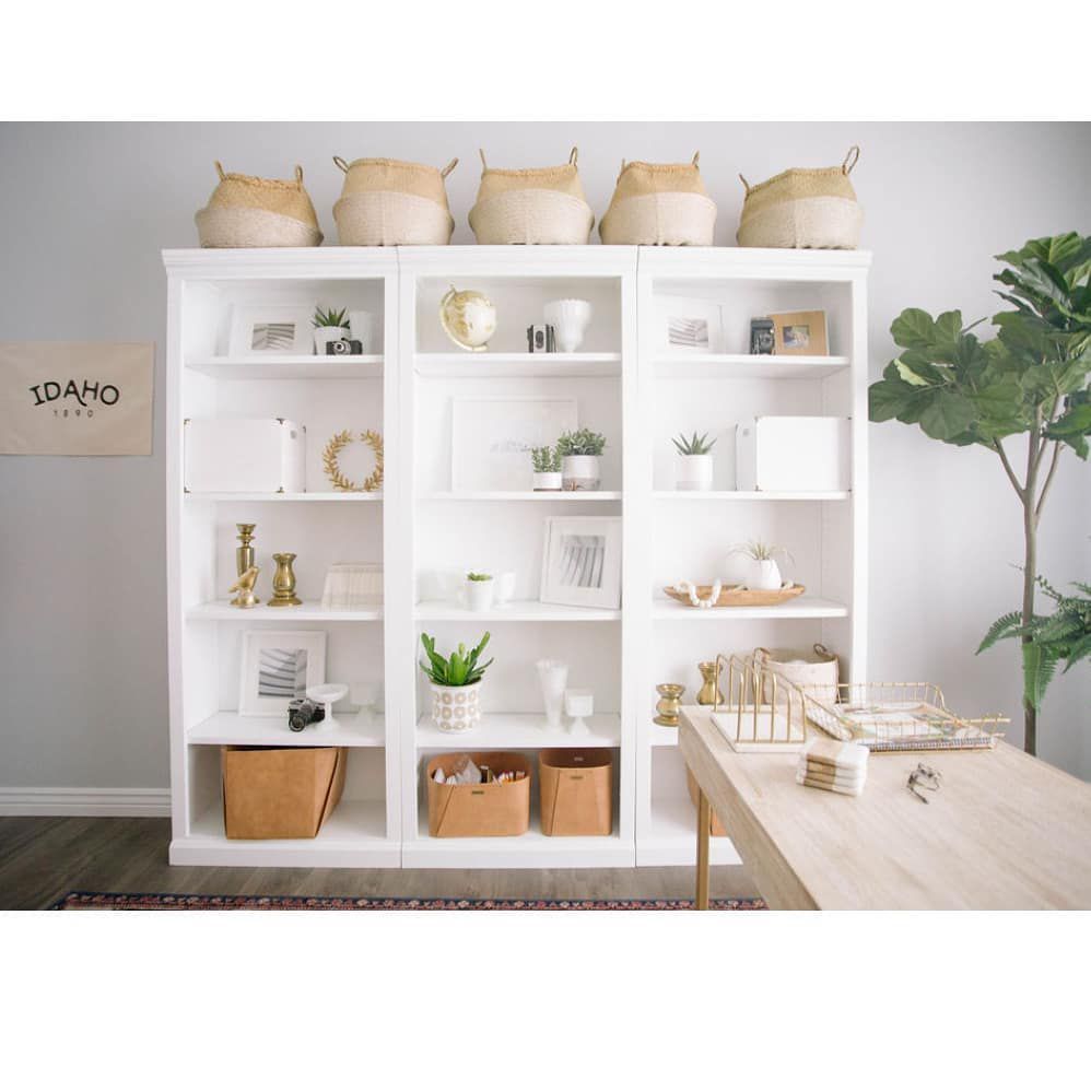 白色书架中性口音。