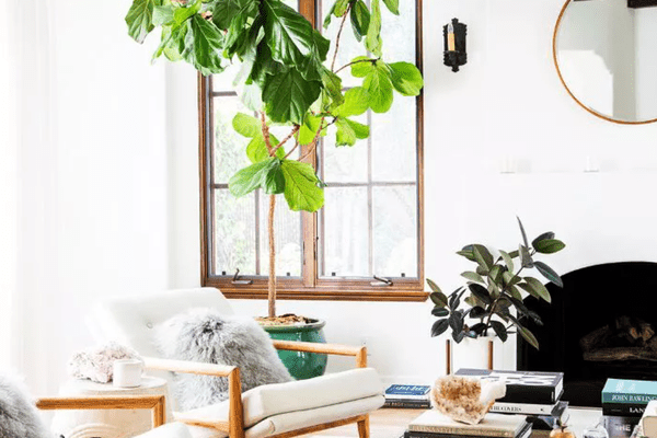 Tessa Neustadt;设计：凯瑟琳卡特