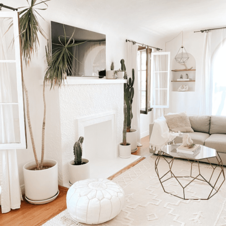 白色客厅有很多中性的口音和植物。