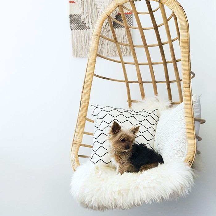 卡拉·罗兰办公室