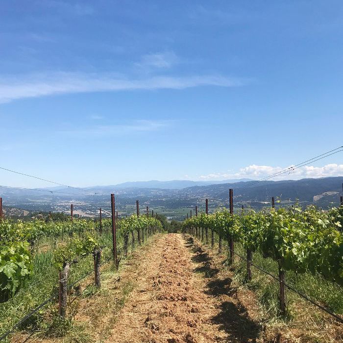 Bonterra Vineyards酒庄生产