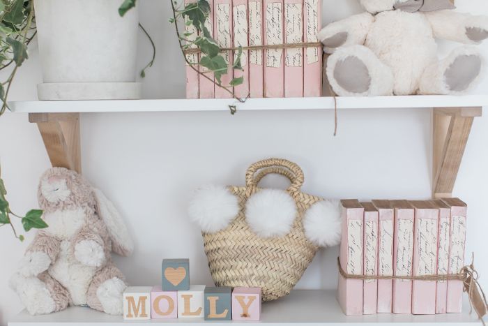 女儿莫莉的卧室装饰包括动物标本和腮红颜色的书