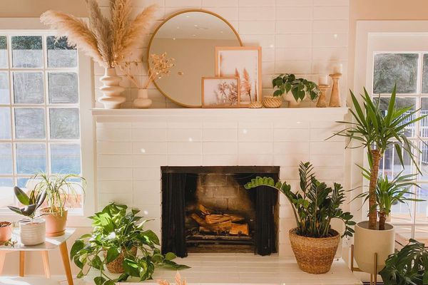 带中性口音和植物的客厅。